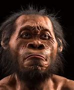 Image result for Humans 2 Million Years Ago