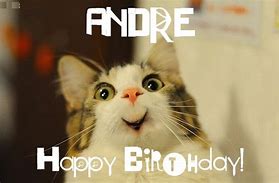 Image result for Andre Birthday Meme