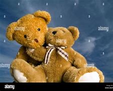 Image result for Teddy Bear Hug