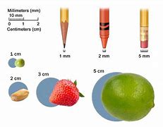 Image result for 4 Centimeters Objects