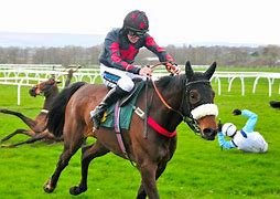 Image result for Images of Horse Racing