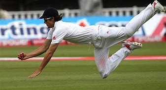 Image result for Cricket Player Catching Ball