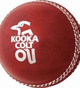 Image result for Cricket Swingball DVD