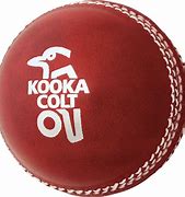 Image result for cricket bowling techniques