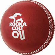 Image result for Cricket Items