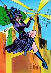 Image result for Gray Catwoman Costume Comics