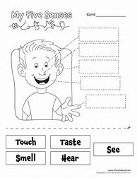 Image result for 5 Senses Tracing Worksheets