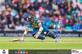 Image result for Individual Running in Cricket