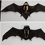 Image result for Interesting Bat Breeds