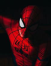Image result for Australian Spider-Man