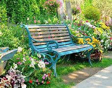 Image result for Park with Bench