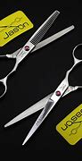 Image result for industrial hair shears brand