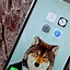 Image result for iPhone Home Screen Layout without Apps