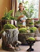 Image result for Container Moss Garden
