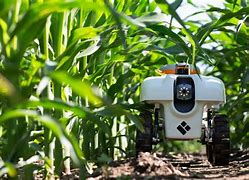 Image result for Japanese Cild Care Robots