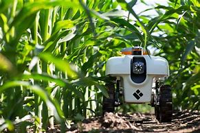 Image result for Environmental Robots