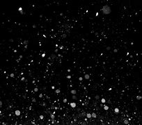 Image result for White Specks On Black Background