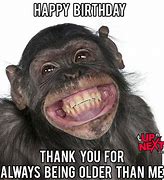 Image result for happy birthday monkeys memes
