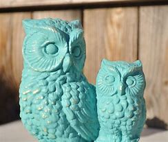 Image result for Watermelon Owl