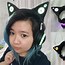 Image result for Cat Ears for Headphones