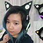 Image result for Headphones for Cats