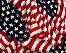 Image result for American Flag Cotton Fabric
