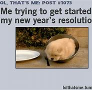 Image result for New Year Funny Resolution Meme