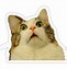Image result for Dark Meme Cat Stickers