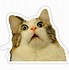 Image result for Cute Meme Stickers