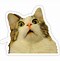 Image result for Meme Stickers