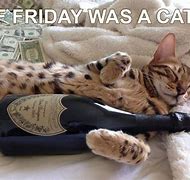 Image result for Finally Friday Cat Meme