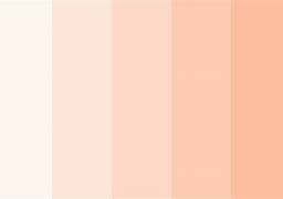 Image result for Gold and Peach Color Palette