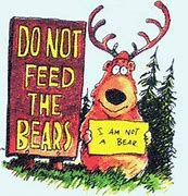 Image result for Don't Feed the Bears Meme