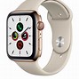 Image result for Apple Watch Series 5 Silver Aluminum On Wrist