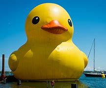 Image result for Bigest Duck in the World Picture