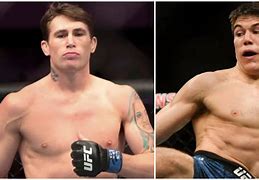 Image result for New UFC Fights