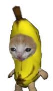 Image result for Shocked Banana Meme