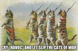 Image result for wars cats memes history