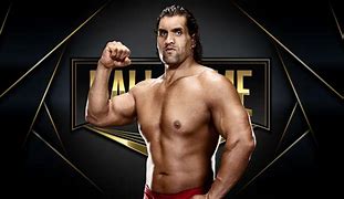 Image result for The Great Khali Now