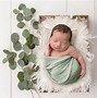 Image result for Baby Photography Backdrops