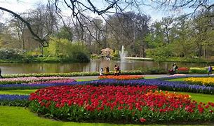 Image result for Netherlands Spring Garden Tour