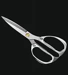 Image result for Sharp Scissors