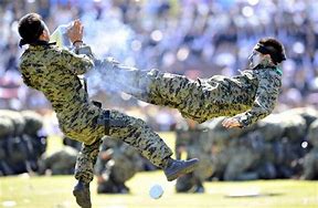 Image result for Korean Military Martial Arts
