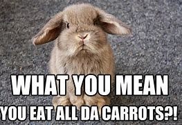 Image result for Rabbit Cartoon Meme