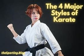 Image result for Karate Types