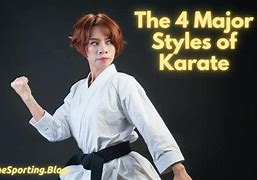 Image result for Types of Karate Stylers