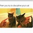 Image result for Trouble Cat Meme