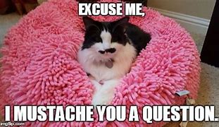 Image result for Excuse Me I Have a Question Meme