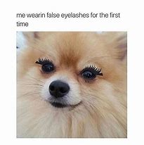 Image result for Fix Your EyeLiner Meme