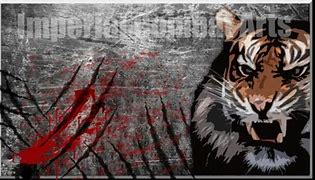 Image result for Black Tiger Kung Fu